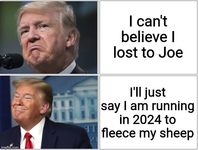 trump sad/happy | I can't believe I lost to Joe; I'll just say I am running in 2024 to fleece my sheep | image tagged in trump sad/happy | made w/ Imgflip meme maker