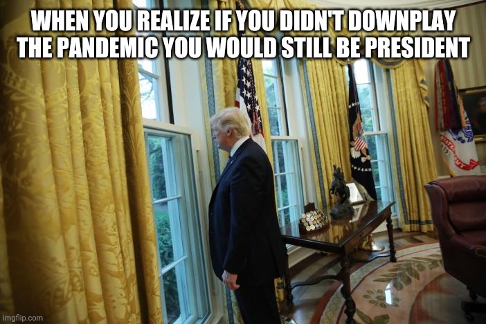 Trump sad window | WHEN YOU REALIZE IF YOU DIDN'T DOWNPLAY THE PANDEMIC YOU WOULD STILL BE PRESIDENT | image tagged in trump sad window | made w/ Imgflip meme maker