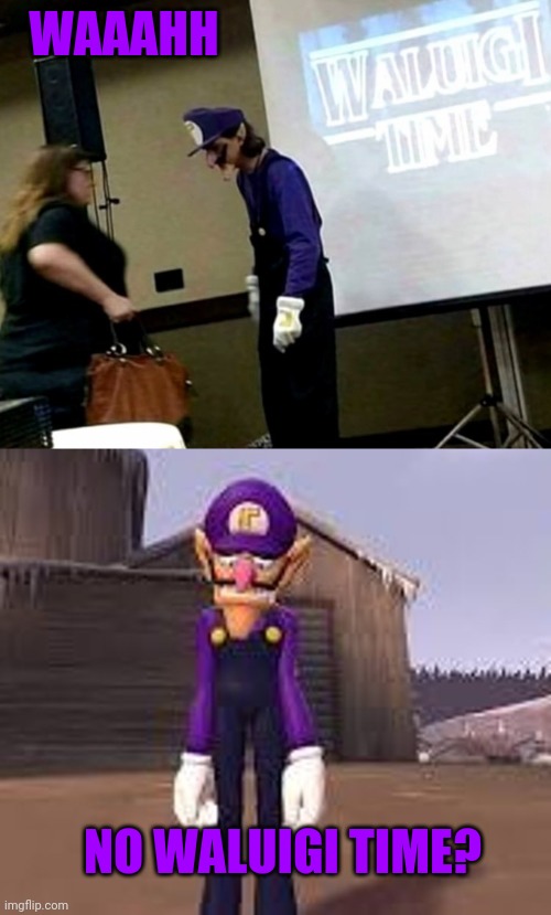 THAT LADY IS PUTTING AN END TO THAT | WAAAHH; NO WALUIGI TIME? | image tagged in waluigi,waluigi time,presentation | made w/ Imgflip meme maker
