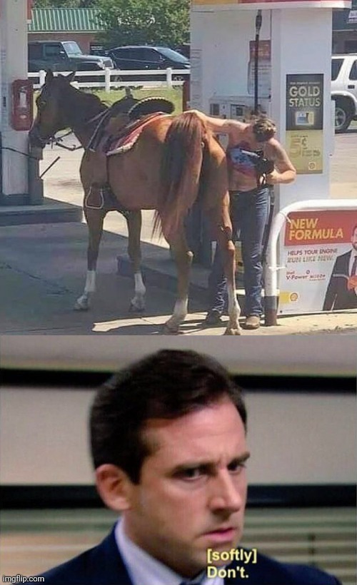 THAT'S NOT GONNA WORK | image tagged in michael scott don't softly,fail,wtf,stupid people,horse | made w/ Imgflip meme maker