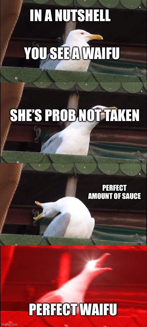 Inhaling Seagull Meme | YOU SEE A WAIFU SHE’S PROB NOT TAKEN PERFECT AMOUNT OF SAUCE PERFECT WAIFU IN A NUTSHELL | image tagged in memes,inhaling seagull | made w/ Imgflip meme maker