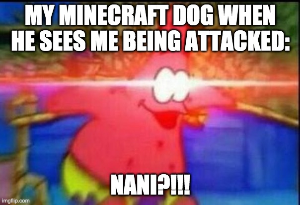 NANI?!! | MY MINECRAFT DOG WHEN HE SEES ME BEING ATTACKED:; NANI?!!! | image tagged in nani | made w/ Imgflip meme maker