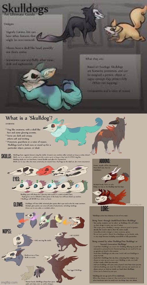 Some skulldoggo facts! | image tagged in skull dog | made w/ Imgflip meme maker