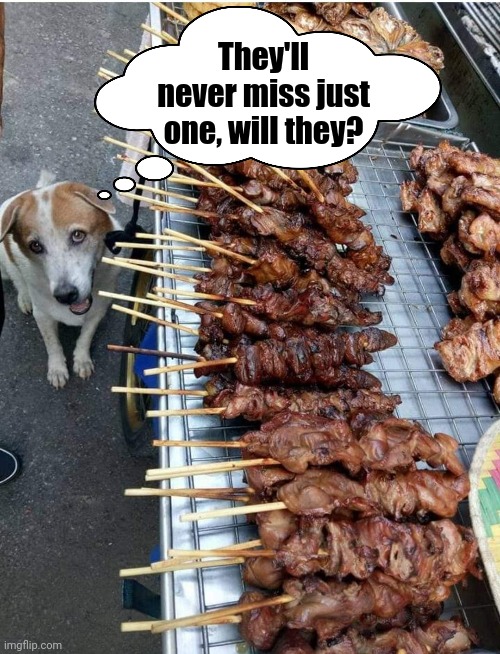 The cute look | They'll never miss just one, will they? | image tagged in dogs,begging,meat,barbecue,cute dog | made w/ Imgflip meme maker