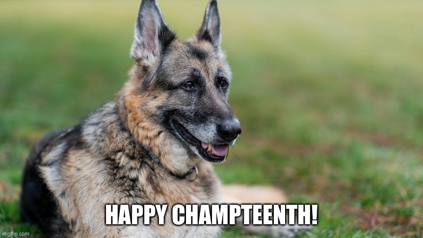 HAPPY CHAMPTEENTH! | image tagged in funny memes | made w/ Imgflip meme maker