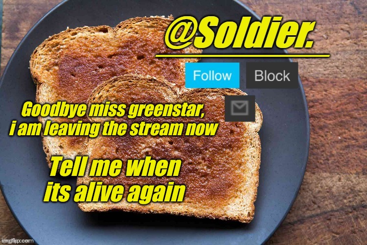 Soldier. Bread Temp | Goodbye miss greenstar, i am leaving the stream now; Tell me when its alive again | image tagged in soldier bread temp | made w/ Imgflip meme maker