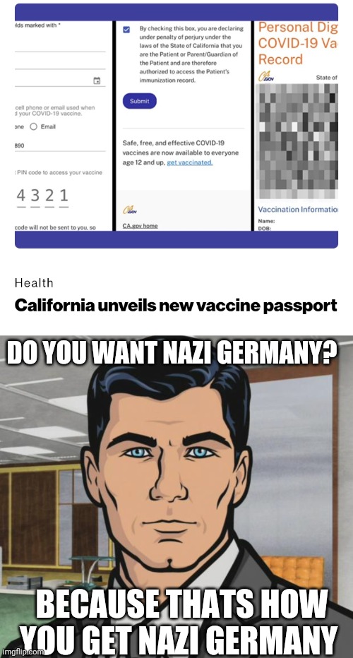 Politics and stuff |  DO YOU WANT NAZI GERMANY? BECAUSE THATS HOW YOU GET NAZI GERMANY | image tagged in memes,archer | made w/ Imgflip meme maker