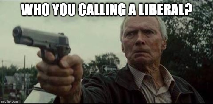 clint eastwood  | WHO YOU CALLING A LIBERAL? | image tagged in clint eastwood | made w/ Imgflip meme maker