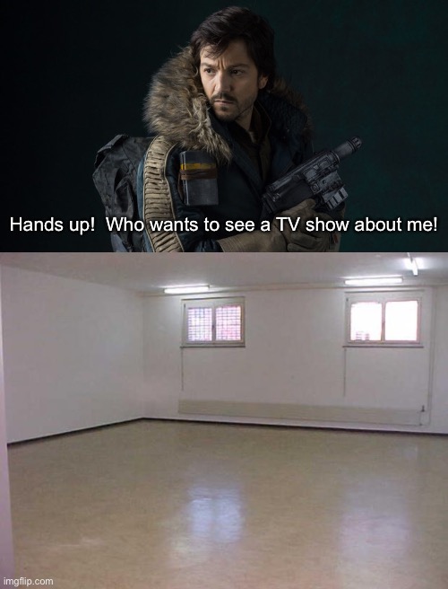 Who wants a Cassian Andor show? | Hands up!  Who wants to see a TV show about me! | image tagged in cassian andor,empty room,funny | made w/ Imgflip meme maker