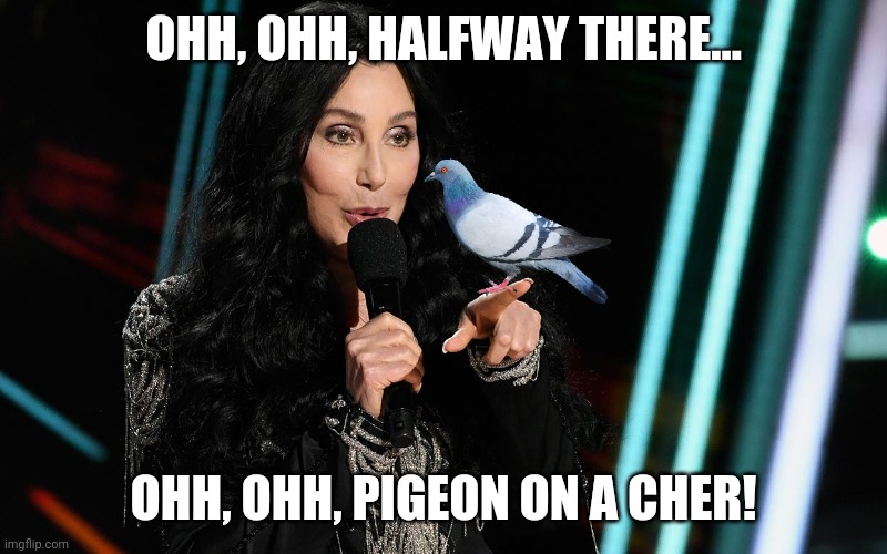 Pigeon on a Cher | OHH, OHH, HALFWAY THERE... OHH, OHH, PIGEON ON A CHER! | image tagged in music,pigeon,cher,bon jovi,prayer | made w/ Imgflip meme maker