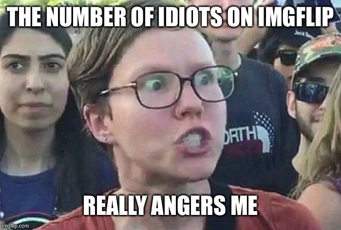 Too many conservatives | THE NUMBER OF IDIOTS ON IMGFLIP; REALLY ANGERS ME | image tagged in triggered liberal,conservative,conservatives,liberal,liberals | made w/ Imgflip meme maker
