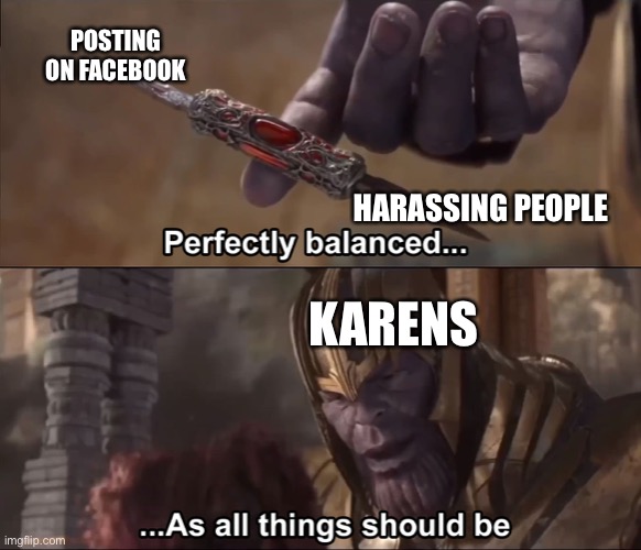 Karens | POSTING ON FACEBOOK; HARASSING PEOPLE; KARENS | image tagged in thanos perfectly balanced as all things should be,memes,fun,karens | made w/ Imgflip meme maker