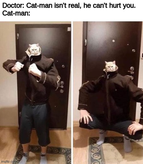 Cat-man, cat crusader | Doctor: Cat-man isn't real, he can't hurt you.
Cat-man: | image tagged in memes | made w/ Imgflip meme maker