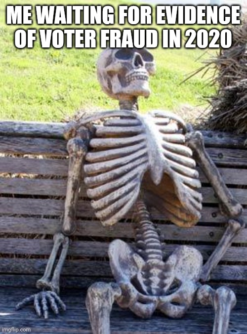 Gonna be waiting for awhile | ME WAITING FOR EVIDENCE OF VOTER FRAUD IN 2020 | image tagged in memes,waiting skeleton | made w/ Imgflip meme maker
