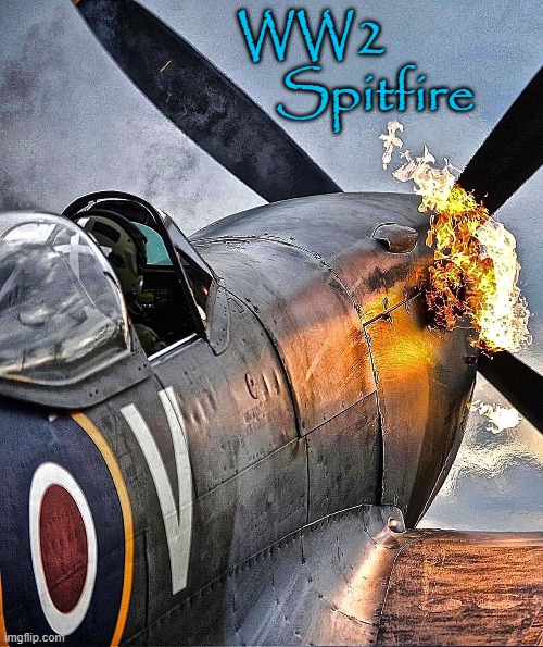 WW2 Spitfire | WW2
                  Spitfire | image tagged in wings of fire | made w/ Imgflip meme maker