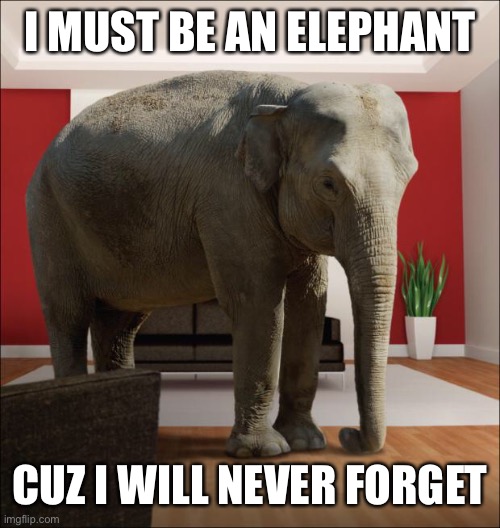 Elephant In The Room | I MUST BE AN ELEPHANT CUZ I WILL NEVER FORGET | image tagged in elephant in the room | made w/ Imgflip meme maker