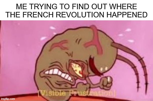 i am dumb | ME TRYING TO FIND OUT WHERE THE FRENCH REVOLUTION HAPPENED | image tagged in visible frustration,history | made w/ Imgflip meme maker