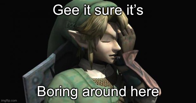 Link Facepalm | Gee it sure it’s Boring around here | image tagged in link facepalm | made w/ Imgflip meme maker