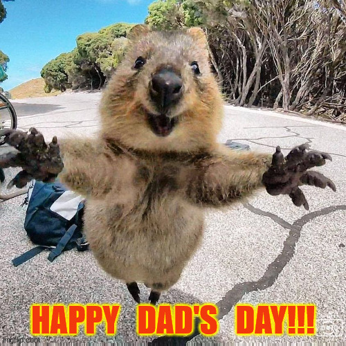 father's day |  HAPPY   DAD'S   DAY!!! | image tagged in quokka,hugs,celebrate | made w/ Imgflip meme maker