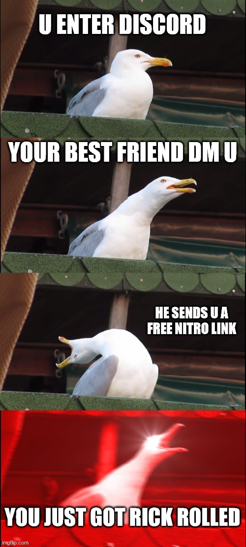 Inhaling Seagull | U ENTER DISCORD; YOUR BEST FRIEND DM U; HE SENDS U A FREE NITRO LINK; YOU JUST GOT RICK ROLLED | image tagged in memes,inhaling seagull | made w/ Imgflip meme maker