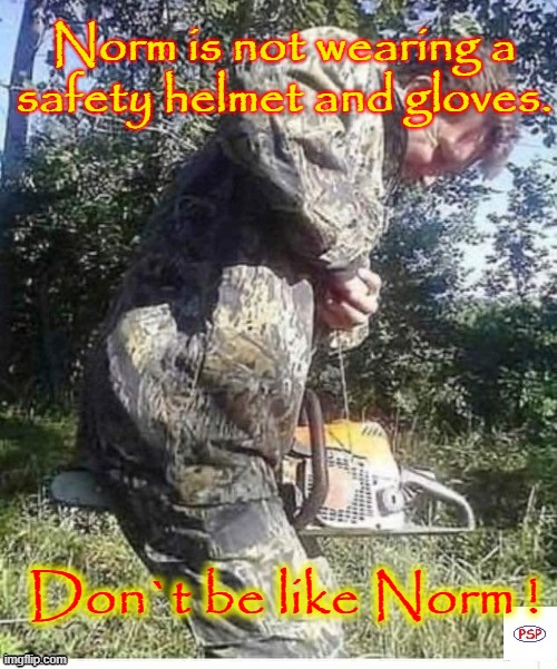 Don`t be like Norm ! | Norm is not wearing a
safety helmet and gloves. Don`t be like Norm ! | image tagged in safety first | made w/ Imgflip meme maker