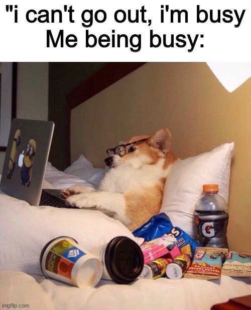 does anyone even read these |  "i can't go out, i'm busy
Me being busy: | image tagged in lazy dog in bed | made w/ Imgflip meme maker