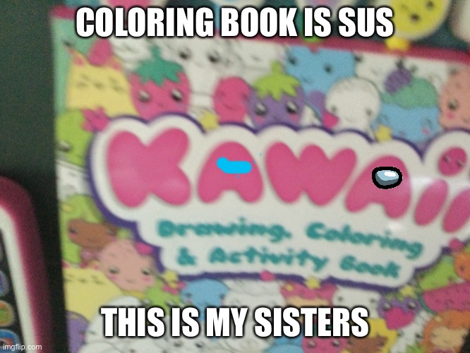 Sus | COLORING BOOK IS SUS; THIS IS MY SISTERS | image tagged in sus book | made w/ Imgflip meme maker