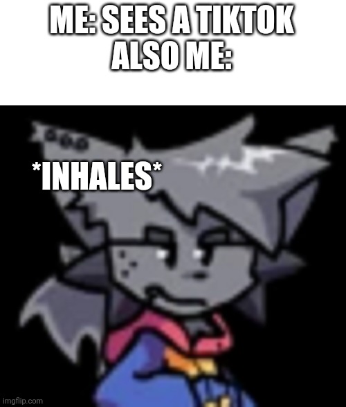 What is wrong with people | ME: SEES A TIKTOK
ALSO ME:; *INHALES* | image tagged in kapi stare | made w/ Imgflip meme maker