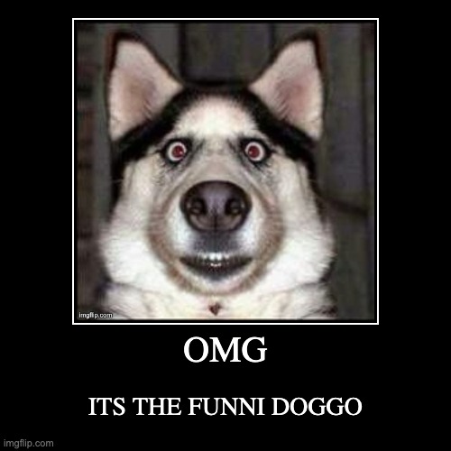 image tagged in funny,demotivationals | made w/ Imgflip demotivational maker