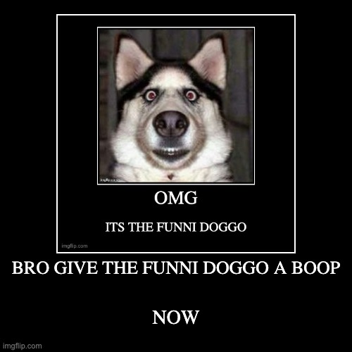 image tagged in funny,demotivationals | made w/ Imgflip demotivational maker