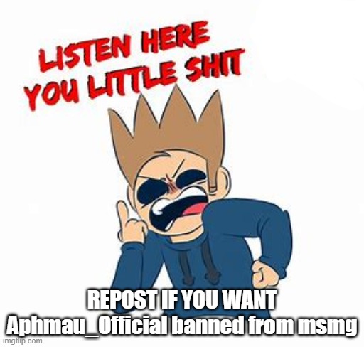 LISTEN UP YA LITTLE SHIT tom | REPOST IF YOU WANT Aphmau_Official banned from msmg | image tagged in listen up ya little shit tom | made w/ Imgflip meme maker
