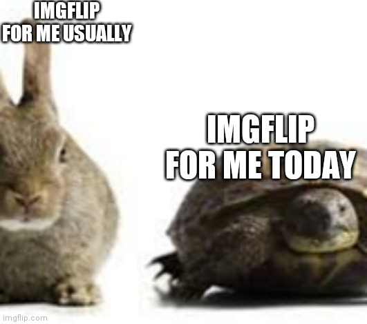 Nothing is loading smh | IMGFLIP FOR ME USUALLY; IMGFLIP FOR ME TODAY | image tagged in fast vs slow | made w/ Imgflip meme maker