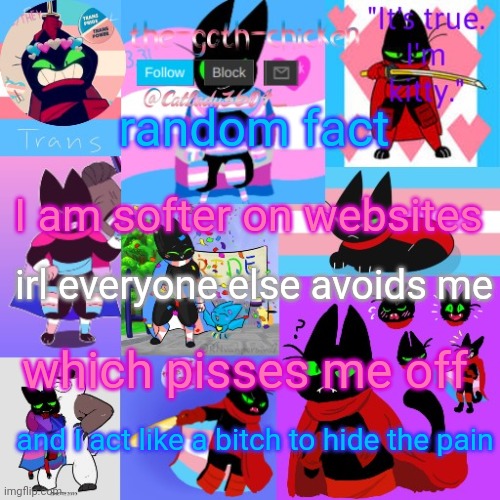 lmao test it out for yourself | random fact; I am softer on websites; irl everyone else avoids me; which pisses me off; and I act like a bitch to hide the pain | image tagged in the-goth-chicken's announcement template 23 | made w/ Imgflip meme maker