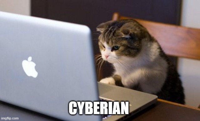 Cyberian | CYBERIAN | image tagged in cat laptop | made w/ Imgflip meme maker