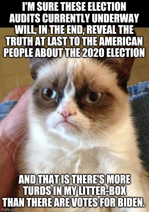 The truth is out there... | I'M SURE THESE ELECTION AUDITS CURRENTLY UNDERWAY WILL, IN THE END, REVEAL THE TRUTH AT LAST TO THE AMERICAN PEOPLE ABOUT THE 2020 ELECTION; AND THAT IS THERE'S MORE TURDS IN MY LITTER-BOX THAN THERE ARE VOTES FOR BIDEN. | image tagged in election fraud,2020 elections,election audits,grumpy cat,politics | made w/ Imgflip meme maker