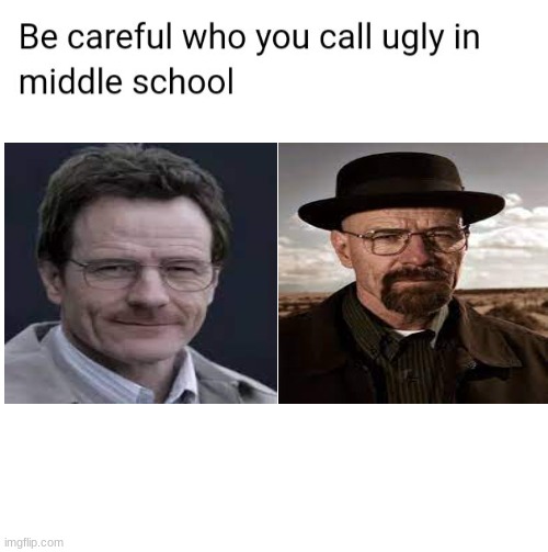 3rd breaking bad meme in a row and still counting | image tagged in be careful who you call ugly in middle school | made w/ Imgflip meme maker