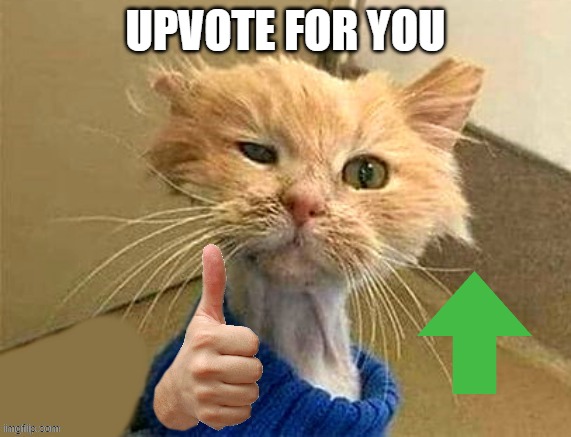 thumb cat | UPVOTE FOR YOU | image tagged in thumb cat | made w/ Imgflip meme maker