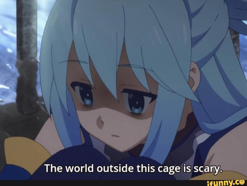 High Quality The world outside this cage is scary Blank Meme Template