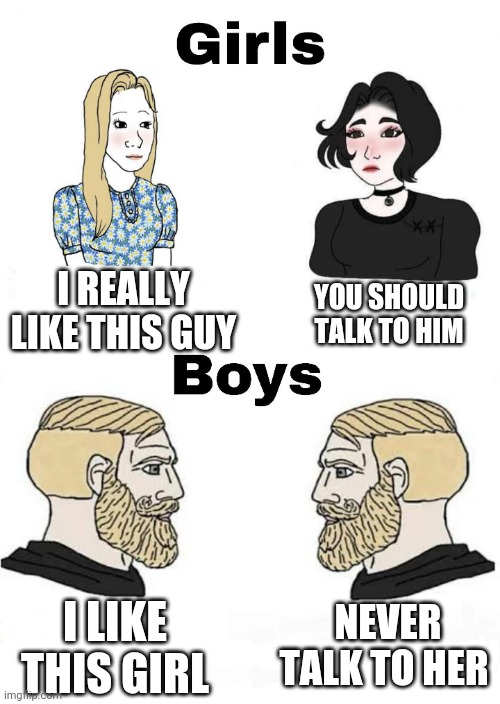 Girls vs Boys | I REALLY LIKE THIS GUY; YOU SHOULD TALK TO HIM; NEVER TALK TO HER; I LIKE THIS GIRL | image tagged in girls vs boys,boys vs girls | made w/ Imgflip meme maker