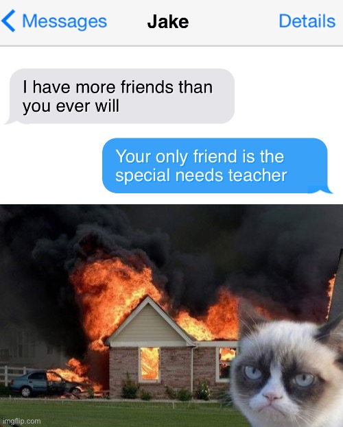 Friends | image tagged in memes,burn kitty | made w/ Imgflip meme maker