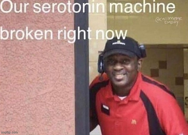 our serotonin machine broken right now | image tagged in our serotonin machine broken right now | made w/ Imgflip meme maker