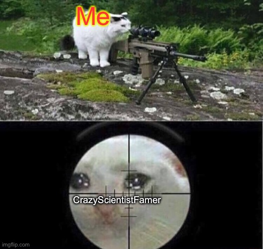 Sniper cat | Me CrazyScientistFamer | image tagged in sniper cat | made w/ Imgflip meme maker
