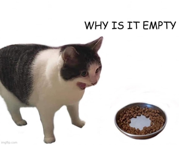 My cat on a daily basis: | image tagged in why is it empty | made w/ Imgflip meme maker