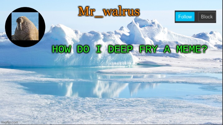 Mr_walrus | HOW DO I DEEP FRY A MEME? | image tagged in mr_walrus | made w/ Imgflip meme maker