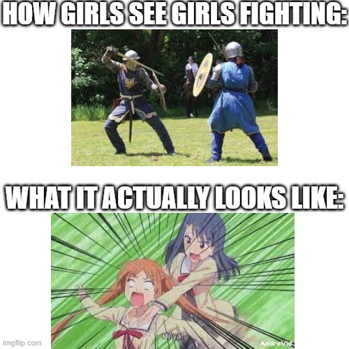 I mean, it's true | HOW GIRLS SEE GIRLS FIGHTING:; WHAT IT ACTUALLY LOOKS LIKE: | image tagged in memes,blank transparent square | made w/ Imgflip meme maker