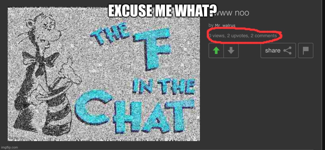 What? | EXCUSE ME WHAT? | image tagged in i have several questions,excuse me what the heck,what,why,oh wow are you actually reading these tags,stop reading the tags | made w/ Imgflip meme maker