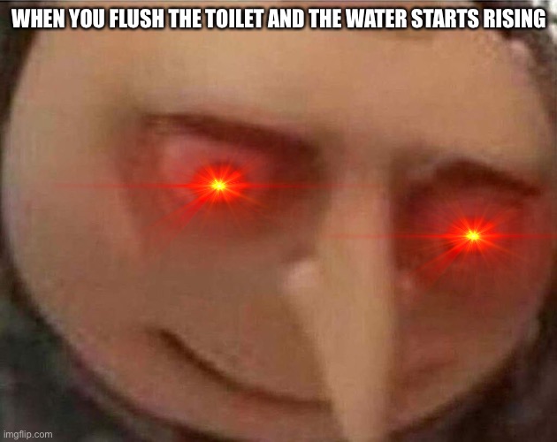 I don’t want to plunge the toilet! | WHEN YOU FLUSH THE TOILET AND THE WATER STARTS RISING | image tagged in gru meme | made w/ Imgflip meme maker