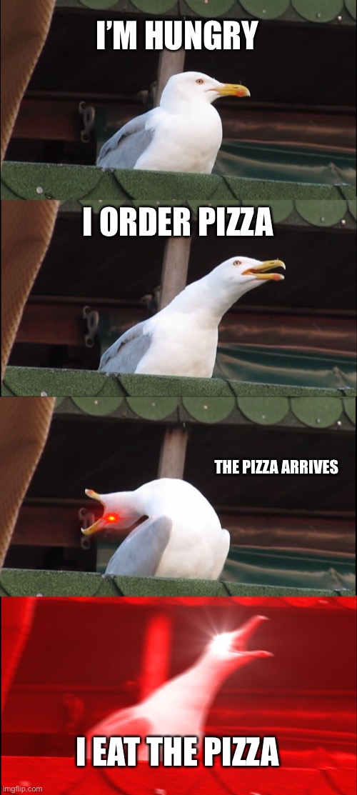 Hungry seagull | I’M HUNGRY; I ORDER PIZZA; THE PIZZA ARRIVES; I EAT THE PIZZA | image tagged in memes,inhaling seagull | made w/ Imgflip meme maker