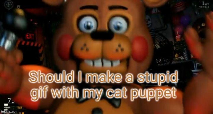 E | Should I make a stupid gif with my cat puppet | made w/ Imgflip meme maker