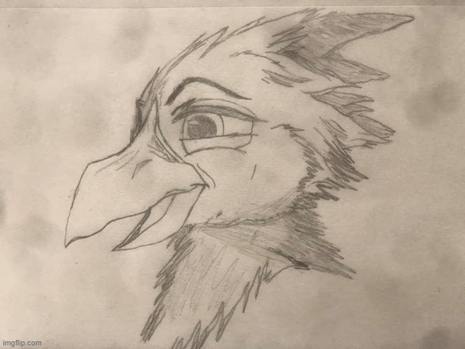 Beaky-Ace's side kick and little brother that was spliced with a bird. Recent drawing. (hence "Ace n' Beaky") | image tagged in bird,anthro,furry,original character,hawk,woodpecker | made w/ Imgflip meme maker